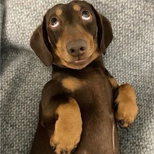 Meet your Posher, Zosima